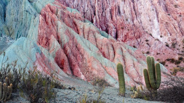 Cardones cerca del Cerro de los siete colores en Purmamarca - Quebrada de Humahuaca, Jujuy, Argentina