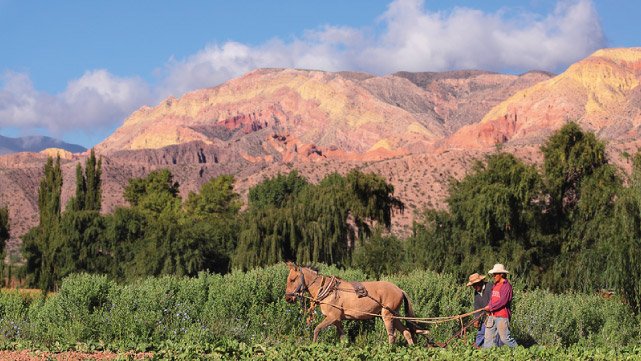 Finca en Maimar&aacute; - Quebrada de Humahuaca, Jujuy, Argentina